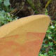 Sandstone sail