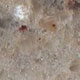 Polished Ivory Brown Granite