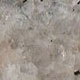 Polished Ivory Fantasy Granite