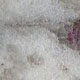 Polished Thunder White Granite