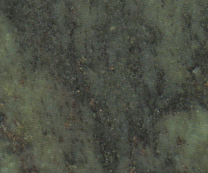 Polished Tropical Green Granite 