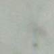 White marble